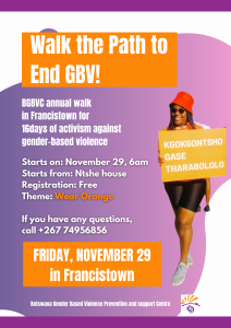 16days activism annual walk