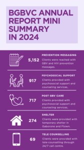 Annual report mini summary in 2024